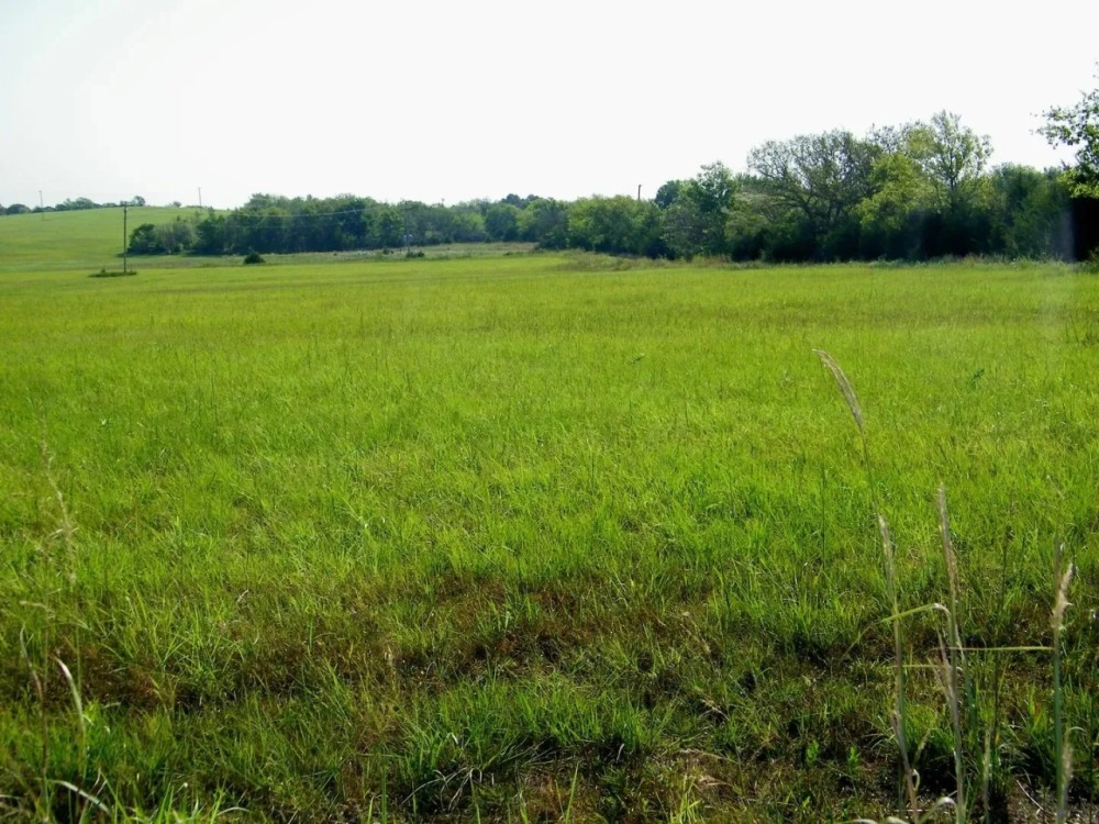 120 Acre Pasture and Hay w Hunting Pawnee County featured image