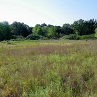 120 Acre Pasture and Hay w Hunting Pawnee County images 4