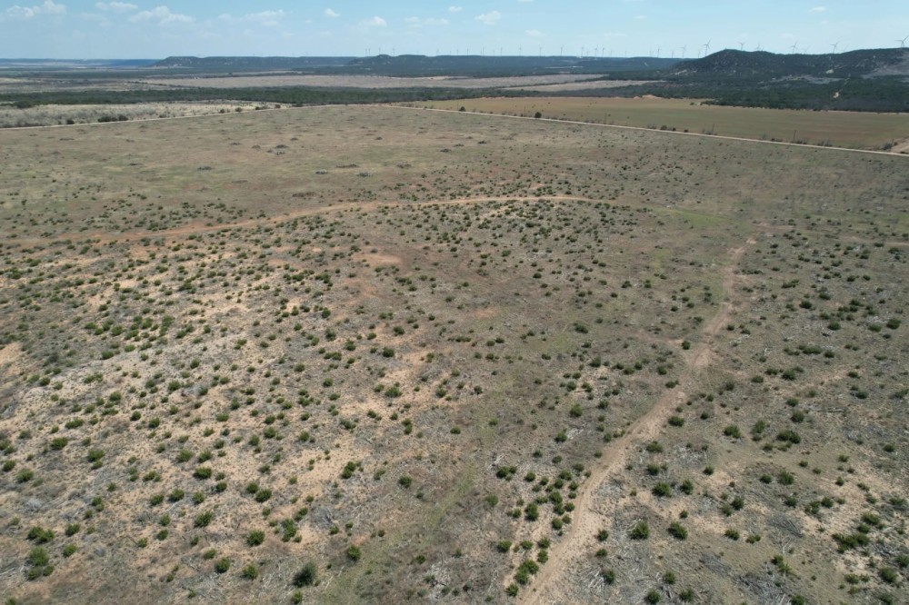 New Listing 25 Acres Taylor County featured image
