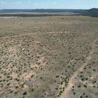 New Listing 25 Acres Taylor County