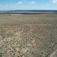 New Listing 25 Acres Taylor County images 2
