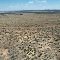 New Listing 25 Acres Taylor County images 3