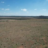 New Listing 25 Acres Taylor County images 4