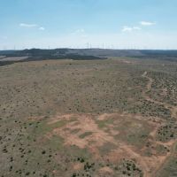 New Listing 25 Acres Taylor County images 5