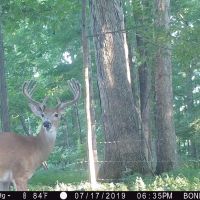 Western Kentucky Hunting Club