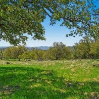 Rancho de los Robles images 2