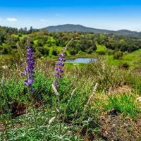 Rancho de los Robles images 5