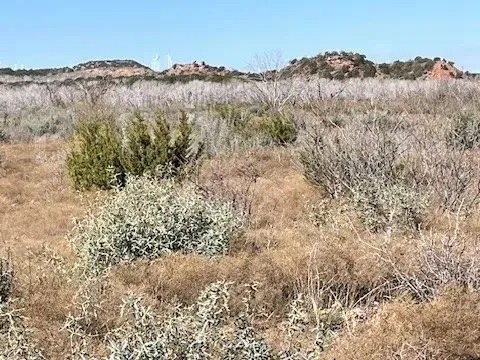 New Listing 100 Acres Taylor County featured image