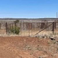 New Listing 100 Acres Taylor County images 4