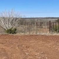 New Listing 100 Acres Taylor County images 5