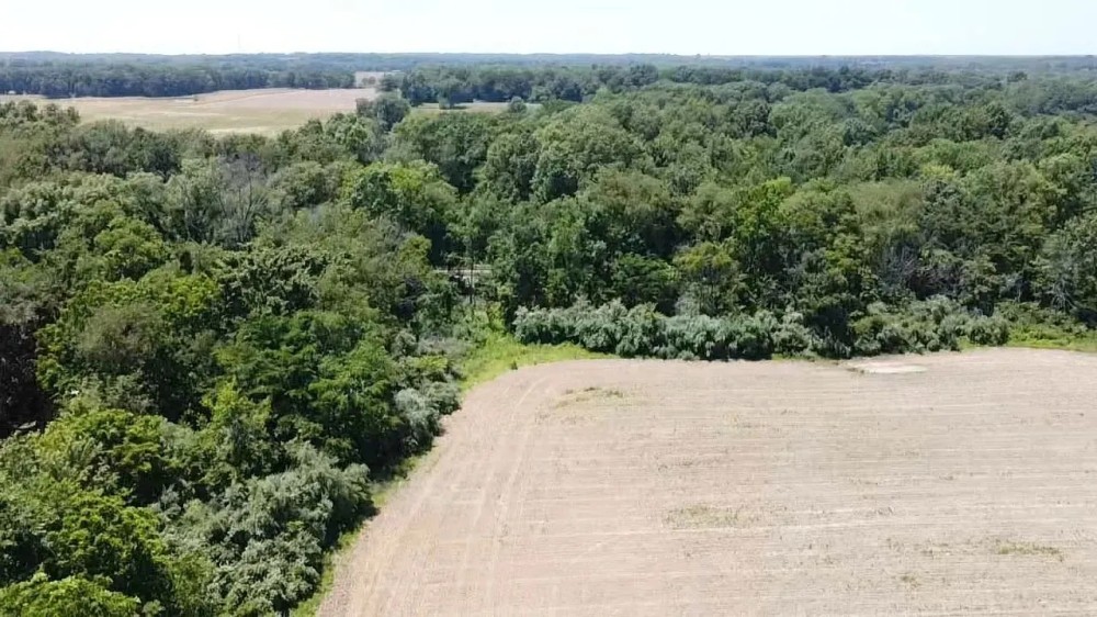 Excellent small tract for hunting featured image