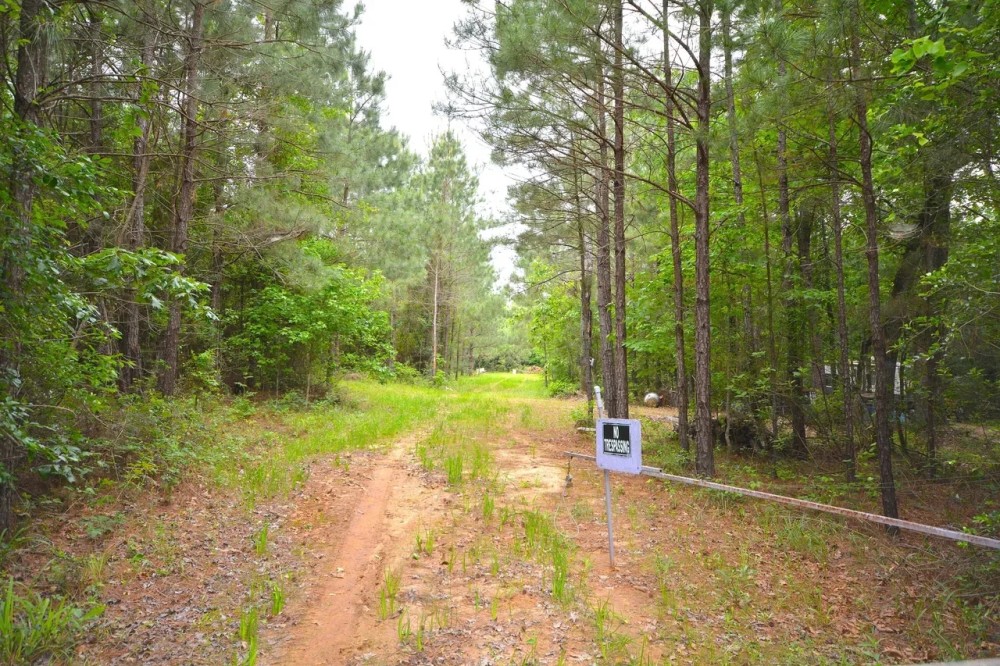 173 Acres of Prime Hunting Land Etoile Texas Nacogdoches County featured image