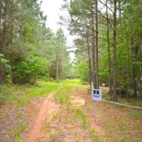 173 Acres of Prime Hunting Land Etoile Texas Nacogdoches County
