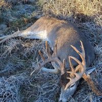 JOSLIN RIDGE RANCH images 3
