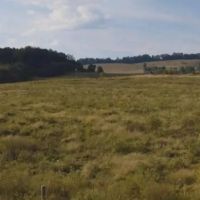 East Tennessee Farm Land for Sale At Auction Hawkins County TN images 4