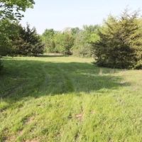 Atoka 60 acres m l