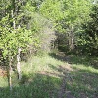 Atoka 60 acres m l images 3