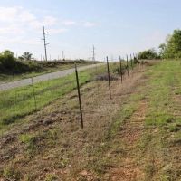 Atoka 60 acres m l images 4
