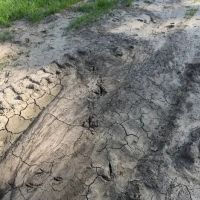 Atoka 60 acres m l images 5