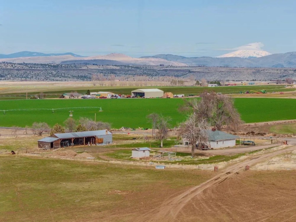 Fessler Hay amp Cattle Ranch featured image