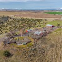 Fessler Hay amp Cattle Ranch images 3