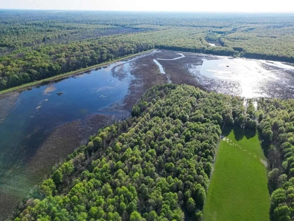 Legacy Waterfowl Hunting in the Mississippi Delta featured image