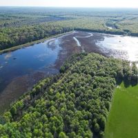 Legacy Waterfowl Hunting in the Mississippi Delta