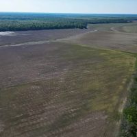 Legacy Waterfowl Hunting in the Mississippi Delta images 3