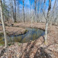 Dannemora Dream