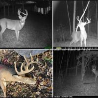 Hunting Land for Sale in Richland County Wisconsin images 2