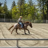 Lassen Ranch images 2