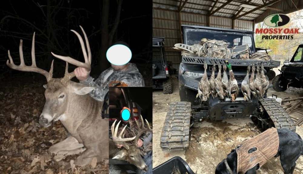 52 - ACRES MORE AVAILABLE WRE LAND FOR SALE STARKE COUNTY HUNTING FISHING featured image