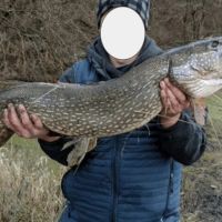 52 - ACRES MORE AVAILABLE WRE LAND FOR SALE STARKE COUNTY HUNTING FISHING images 2