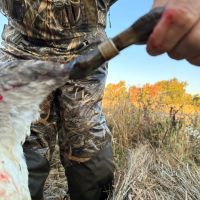 52 - ACRES MORE AVAILABLE WRE LAND FOR SALE STARKE COUNTY HUNTING FISHING images 3