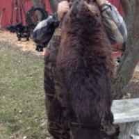 52 - ACRES MORE AVAILABLE WRE LAND FOR SALE STARKE COUNTY HUNTING FISHING images 4