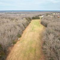 Wildlife Retreat images 3