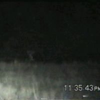 Bigdeers2
