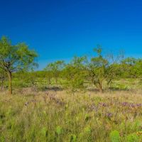 Lasater Ranch