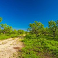 Lasater Ranch images 3