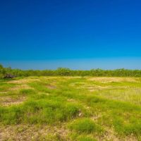 Lasater Ranch images 4