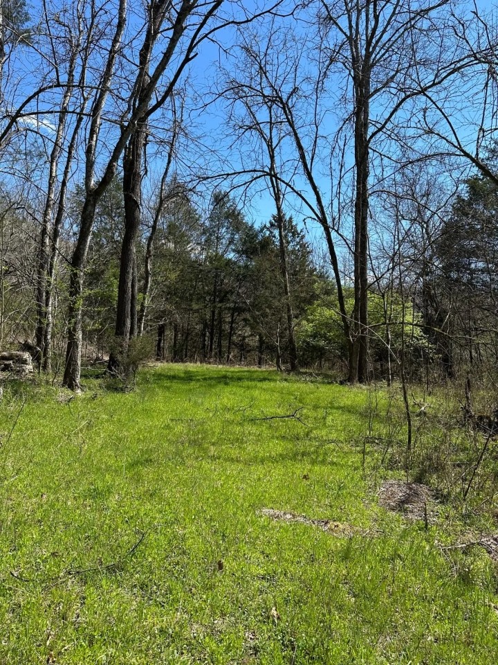 14.54 Acres Ben Gentry Ln Smith County TN featured image