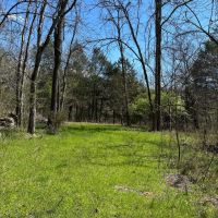 14.54 Acres Ben Gentry Ln Smith County TN