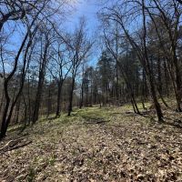 14.54 Acres Ben Gentry Ln Smith County TN images 2