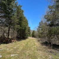 14.54 Acres Ben Gentry Ln Smith County TN images 3