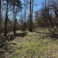 14.54 Acres Ben Gentry Ln Smith County TN images 4