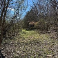 14.54 Acres Ben Gentry Ln Smith County TN images 5