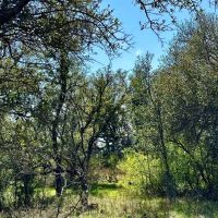 Available 92 - Acres Brown County images 4