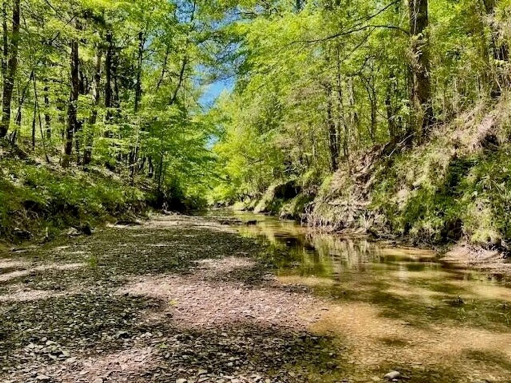 69 Acres For Sale Starkville MS featured image