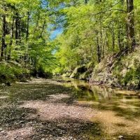 69 Acres For Sale Starkville MS
