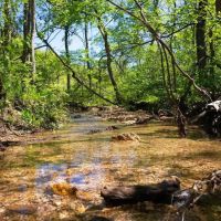Large Recreational Tract With A Home In The Heart Of The Ozarks images 2